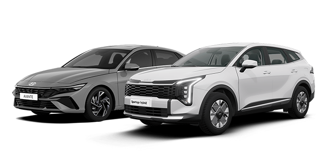 운전연수 자동차